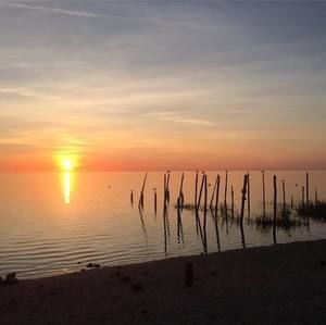 Meet your Posher, George